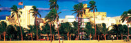 Palm Trees on Ocean Drive Miami