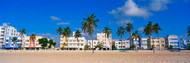 South Beach with Palm Trees