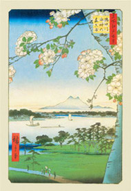 Cherry Blossoms by Hiroshige