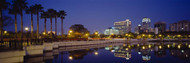 Orlando Night Skyline with Palm Trees