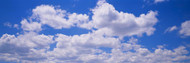 Clouds in the Sky Oregon II