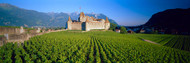 Musee de la Vigne et du Vin Switzerland