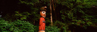 Totem Pole in a Forest Ketchikan