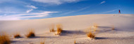 Runner on a Sand Dune