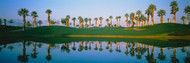 Golf Course Marriott Palms AZ