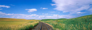 Railroad Track Passing Through a Field