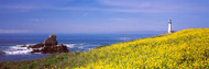 Pigeon Point Lighthouse San Mateo County