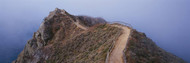 Path on a Cliff Near Muir Beach