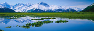 Chugach Mountain Reflected in Water