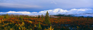 Autumn Foothills and Snowy Alaska Range