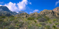 Chisos Mountains