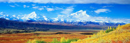 Tundra Alaska Range Denali National Park