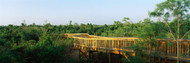 Wooden Bridge Everglades National Park