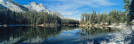 Trees and Lake Yellowstone National Park