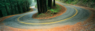 Marin County Bend in Road