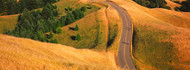 Road Running Through Landscape Mt Tamalpais