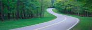 Road, Letchworth State Park, New York State, USA