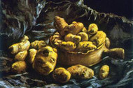 Earthen Bowls by Vincent Van Gogh