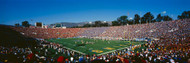 Bruins at Rose Bowl