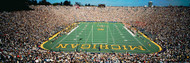 University Of Michigan Stadium