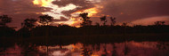 Clouds Reflected in River Everglades
