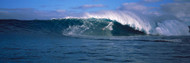 Surfer in the Sea Maui