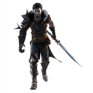 Dragon Age Wall Graphics: Hero