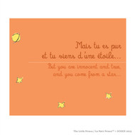 Le Petit Prince 'You Came From a Star'