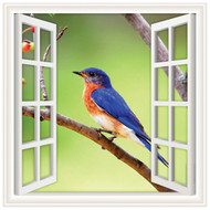 Window Views Blue Bird