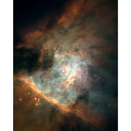 Star Birthing Region in the Orion Nebula
