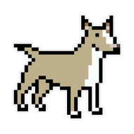 Bull Terrier Dog