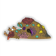 Doodle Jump Ocean Floor 9