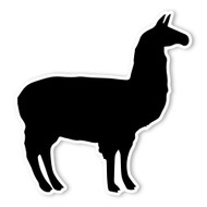 Begsonland Llama