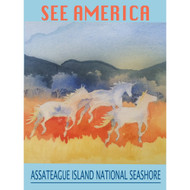 Assateague Island National Seashore by Christine Lathrop