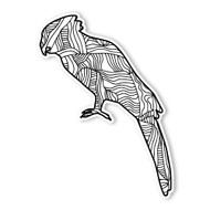 Begsonland Parrot Doodle Decal