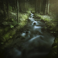 Small Stream In A Forest Pirin National Park Bansko Bulgaria