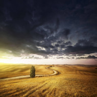A Country Road In Field At Sunset and Moody Sky Tuscany Italy