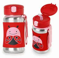 https://cdn10.bigcommerce.com/s-fwc5r1/products/3286/images/19649/SKIP_HOP_STAINLESS_SEEL_BOTTLE_LADYBUG__29568.1590563568.400.300.png?c=2