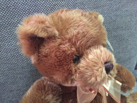 Korimco Eddie Brown Bear - with Satin bow