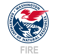 DECAL DNR FIRE LOGO WHITE LETTER 15x15