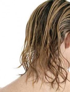 Does Having Greasy Hair Necessarily Mean More Hair Shedding