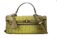 CY 8619 Olive Green