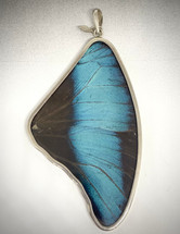 Butterfly Wing Pendant (3782)