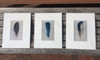 Feather Project Matted Prints