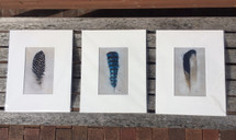 Feather Project Matted Prints