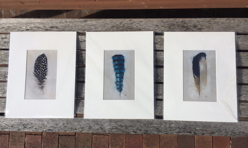 Feather Project Matted Prints
