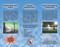 Skeeter Shield Dealer Tri-Fold Brochures (500)