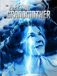 The Electric Grandmother (1982) DVD