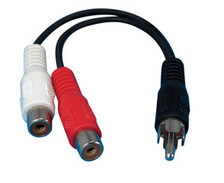 rca male to 2 rca female 6" adapter