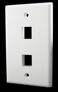 2 Port White Wall Plate